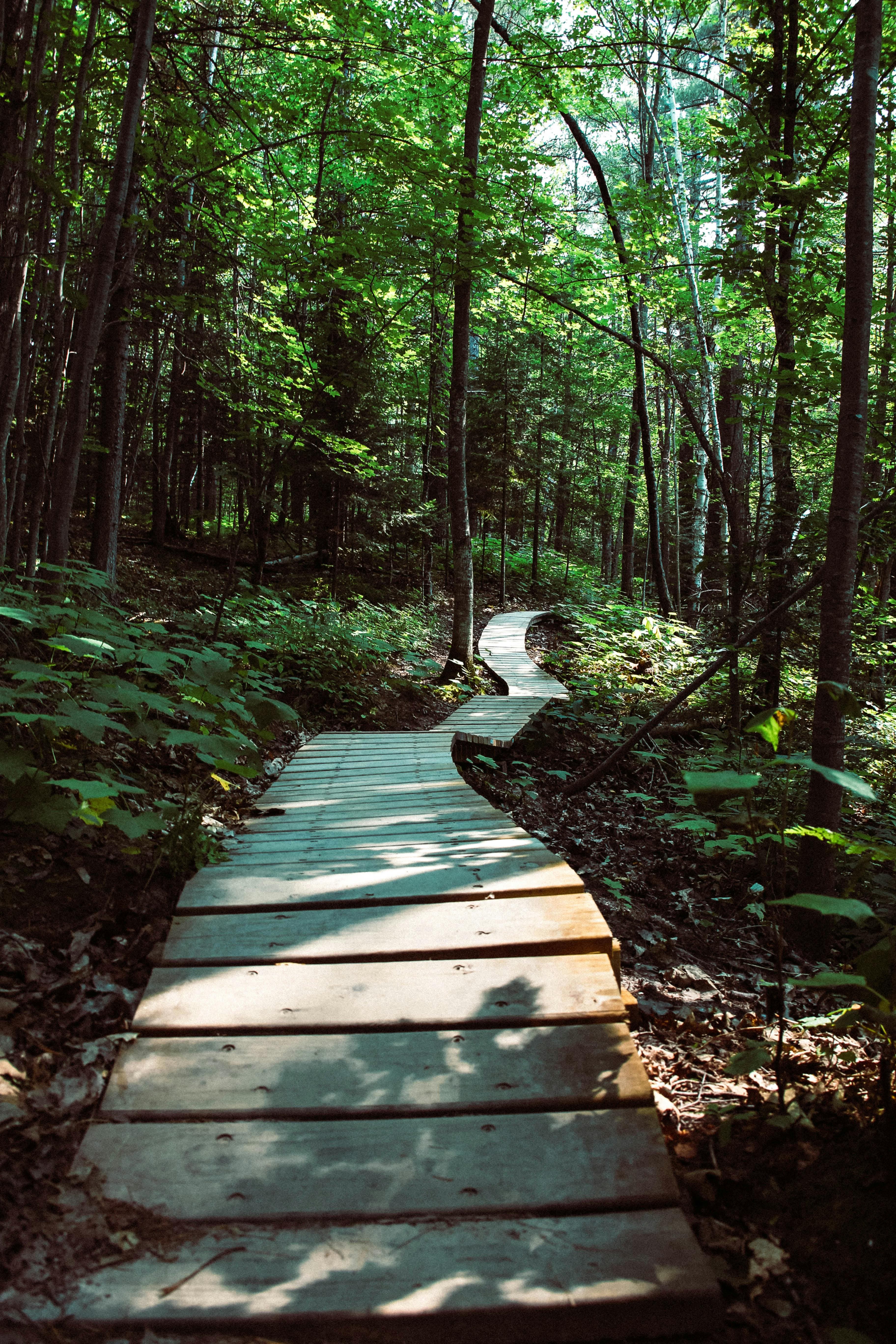 Hiking Trails